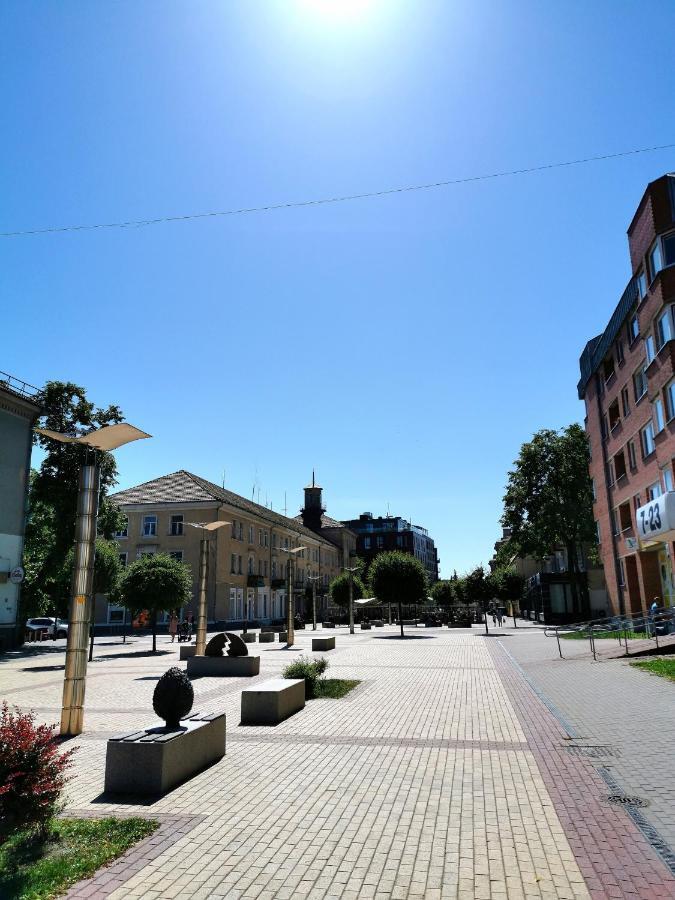 Cosy Center Apartment Klaipėda Buitenkant foto